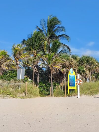 Washingtonia Beach - Lauderdale-By-The-Sea, FL