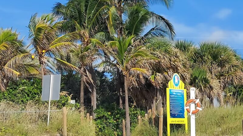 Washingtonia Beach - Lauderdale-By-The-Sea, FL