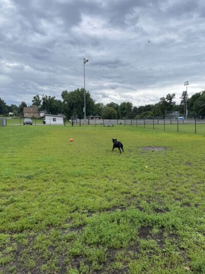 Lauderdale Dog Park - Lauderdale, MN