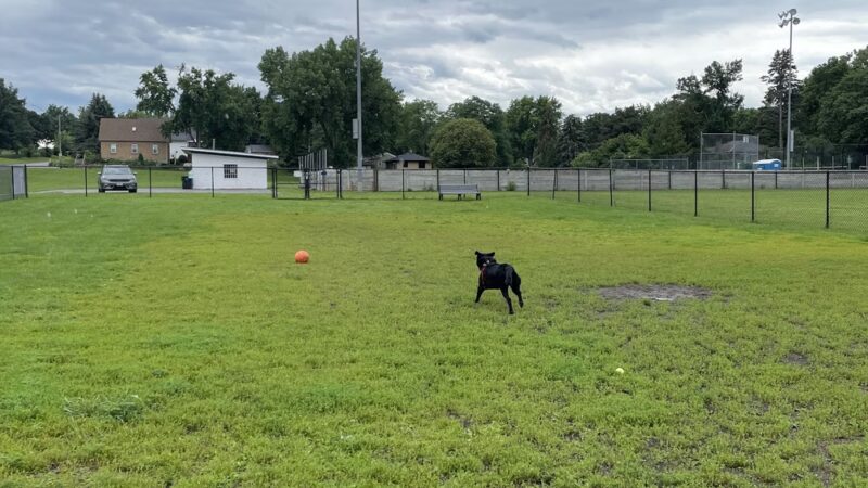 Lauderdale Dog Park - Lauderdale, MN