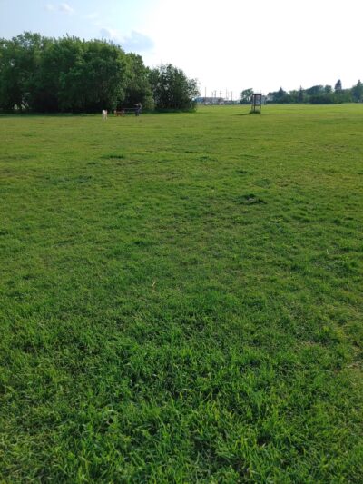 Lauderdale Dog Park - Lauderdale, MN