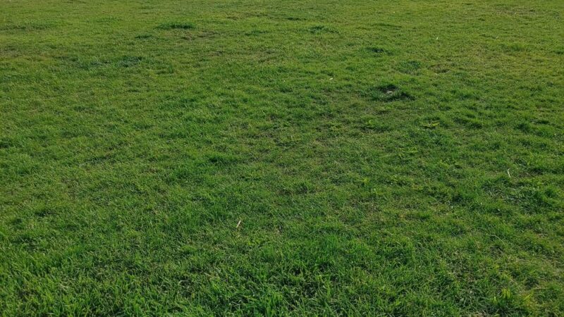 Lauderdale Dog Park - Lauderdale, MN