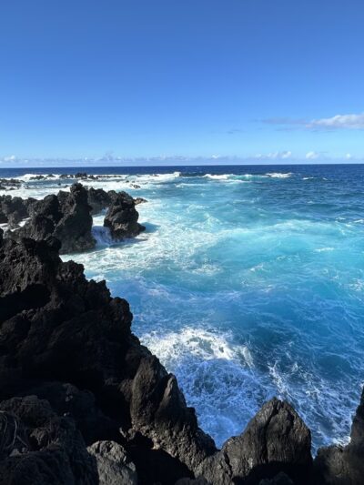 Laupāhoehoe Beach Park - Laupahoehoe, HI