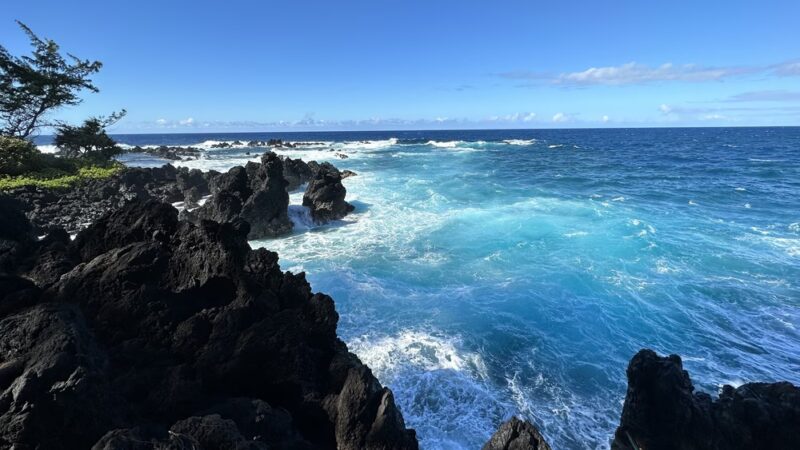 Laupāhoehoe Beach Park - Laupahoehoe, HI