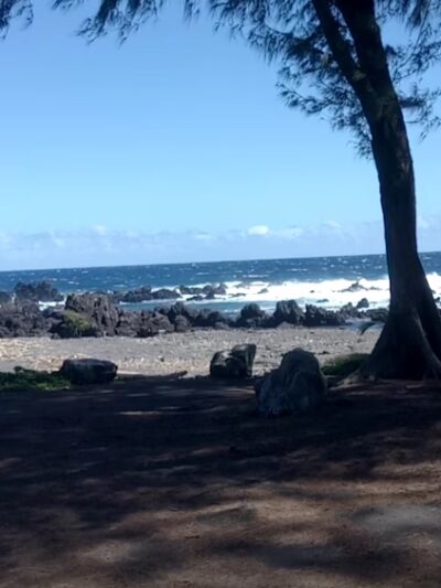 Laupāhoehoe Beach Park - Laupahoehoe, HI