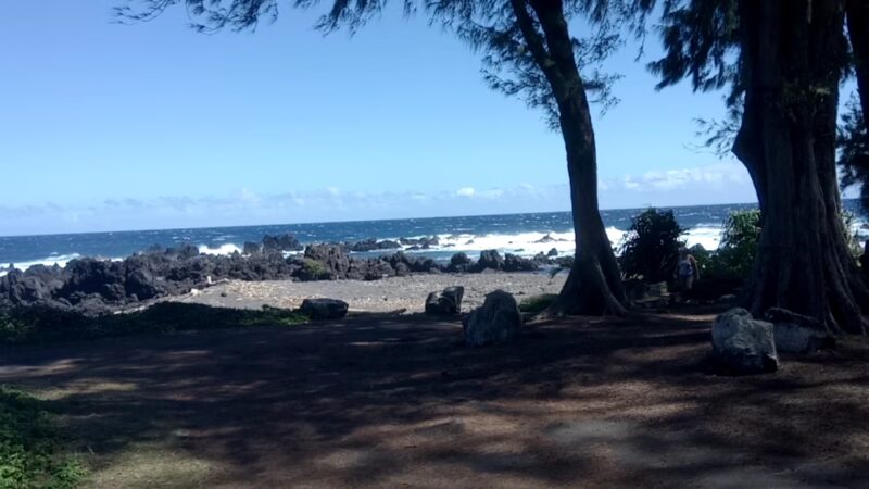 Laupāhoehoe Beach Park - Laupahoehoe, HI