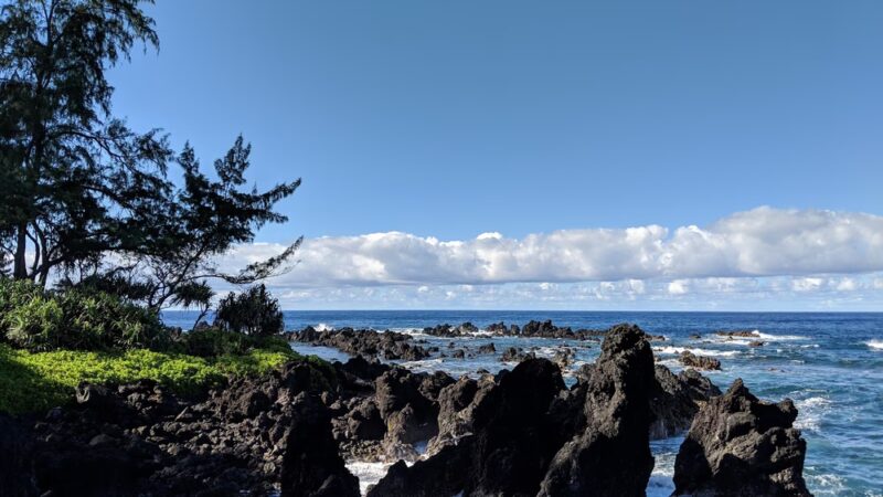 Laupāhoehoe Beach Park - Laupahoehoe, HI