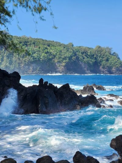 Laupāhoehoe Beach Park - Laupahoehoe, HI
