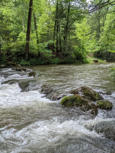 Laurel Creek Trail - Laurel Bloomery, TN