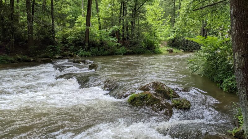 Laurel Creek Trail - Laurel Bloomery, TN