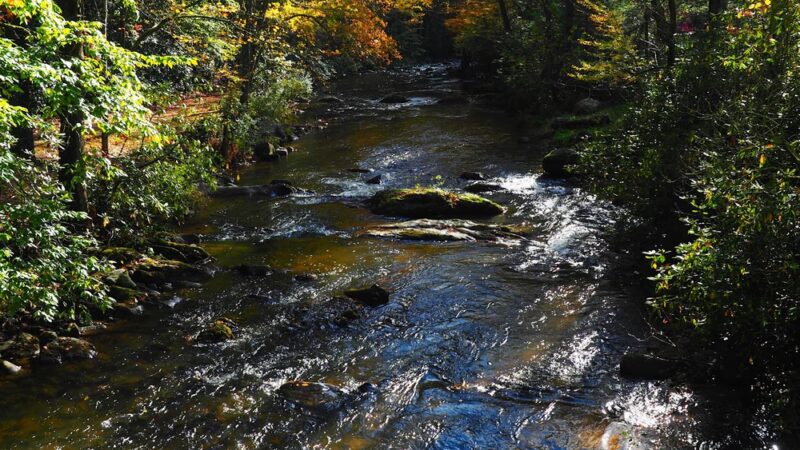 Laurel Creek Trail - Laurel Bloomery, TN