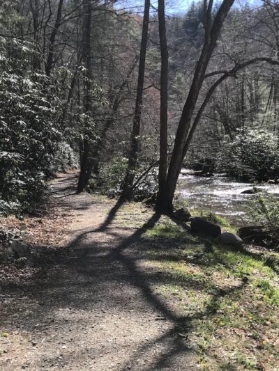 Laurel Creek Trail - Laurel Bloomery, TN