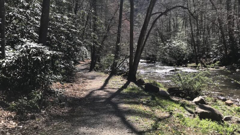 Laurel Creek Trail - Laurel Bloomery, TN