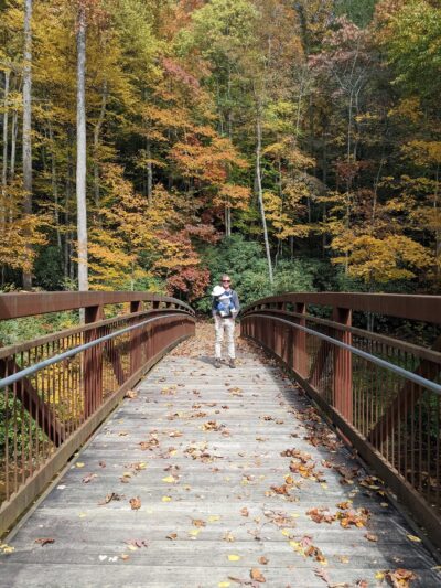 Laurel Creek Trail - Laurel Bloomery, TN