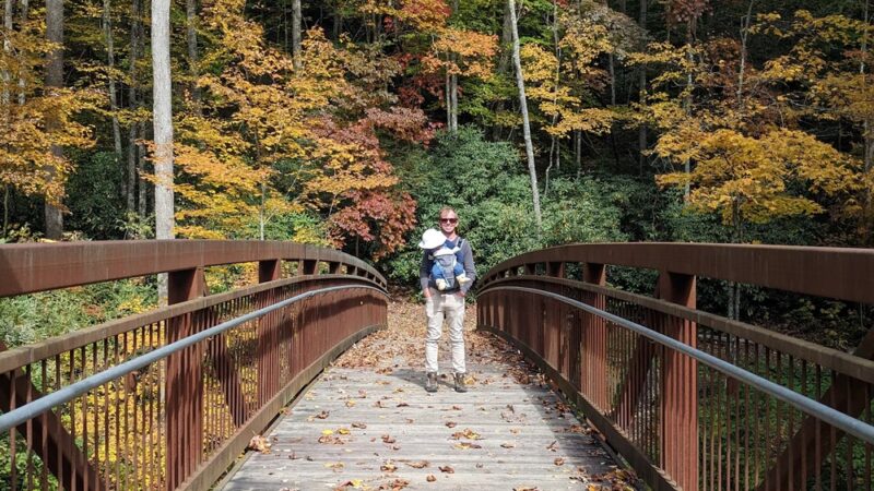 Laurel Creek Trail - Laurel Bloomery, TN