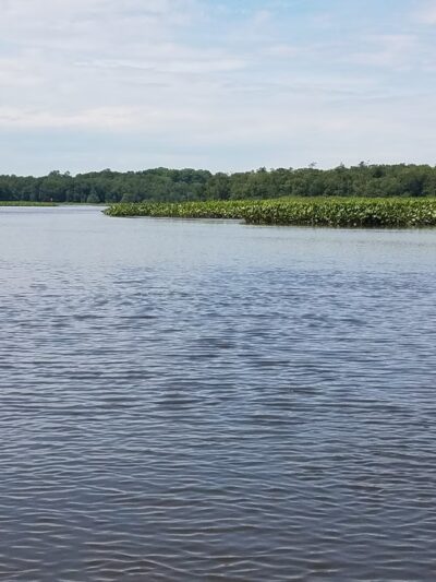 Phillips Landing Park - Laurel, DE