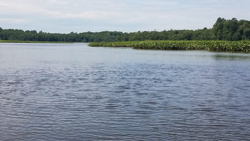 Phillips Landing Park - Laurel, DE