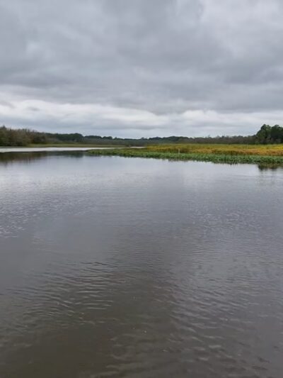 Phillips Landing Park - Laurel, DE