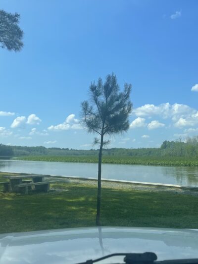 Phillips Landing Park - Laurel, DE