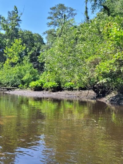 Roger C. Fisher Laurel River Park - Laurel, DE