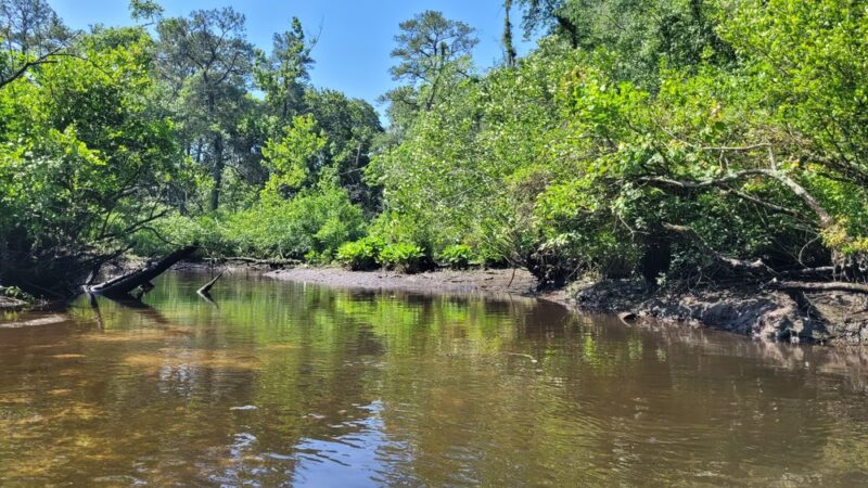 Roger C. Fisher Laurel River Park - Laurel, DE