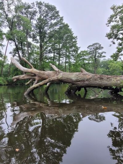 Roger C. Fisher Laurel River Park - Laurel, DE