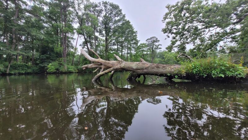 Roger C. Fisher Laurel River Park - Laurel, DE