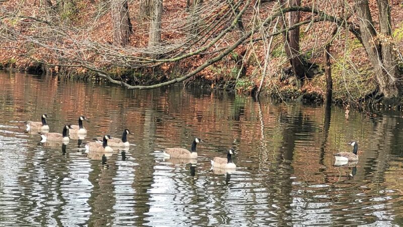 Roger C. Fisher Laurel River Park - Laurel, DE