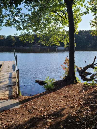 Trap Pond - Laurel, DE