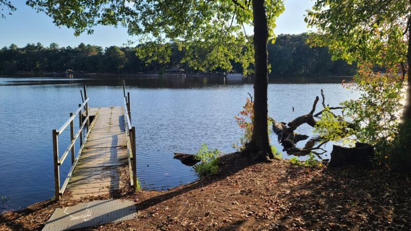 Trap Pond - Laurel, DE