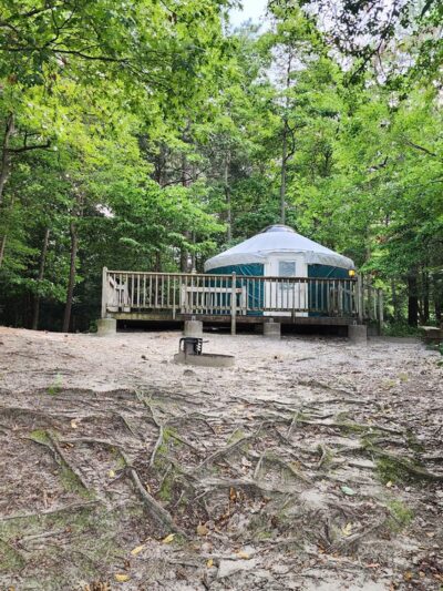 Trap Pond - Laurel, DE