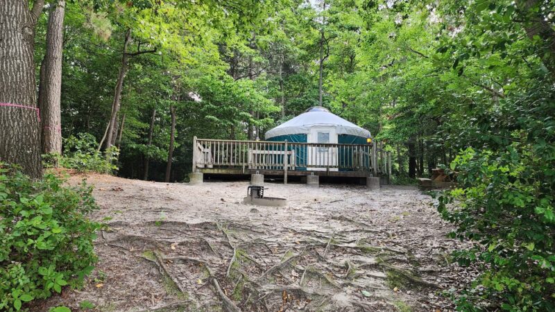 Trap Pond - Laurel, DE