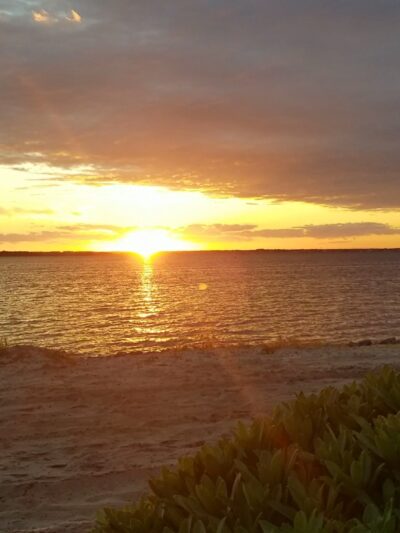 Hankins Park - Lavallette, NJ