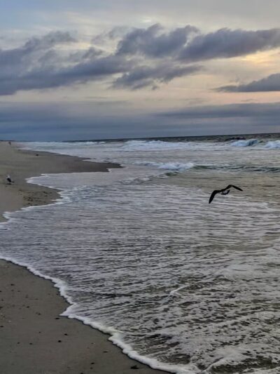 Lavallette Beach - Lavallette, NJ