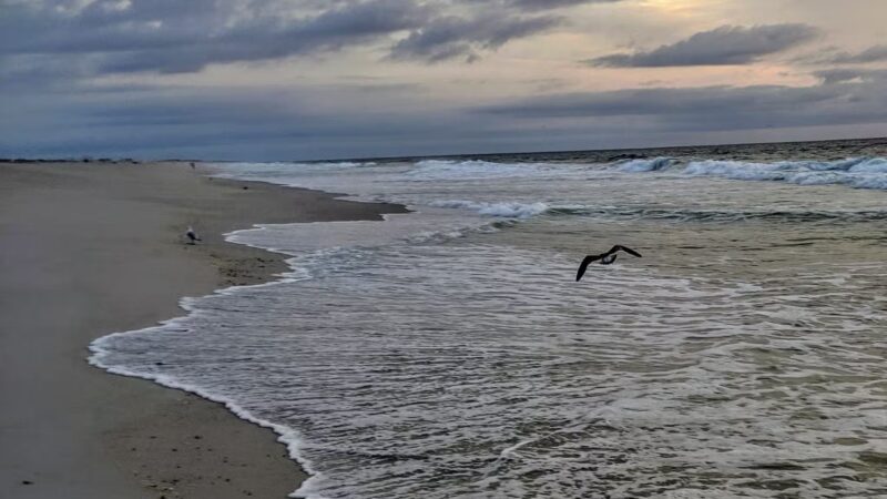 Lavallette Beach - Lavallette, NJ