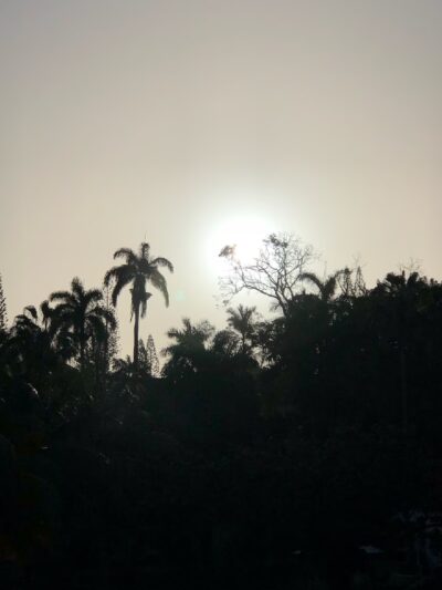 Laverne Park Pavillion - Laverne, OK