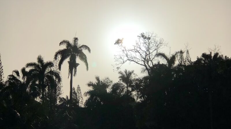 Laverne Park Pavillion - Laverne, OK