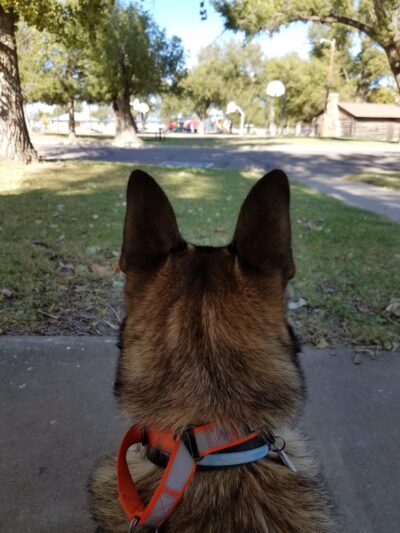 Laverne Park Pavillion - Laverne, OK