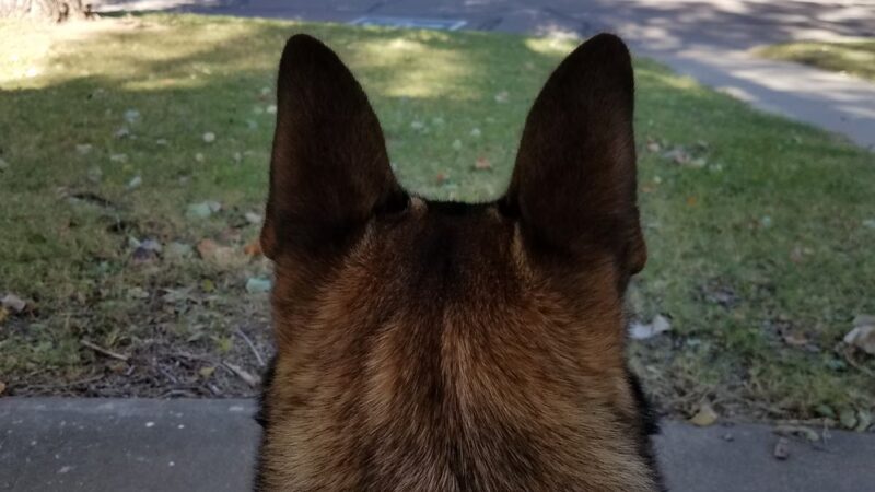 Laverne Park Pavillion - Laverne, OK