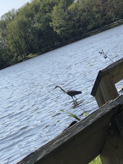 Colonial Lake Park - Lawrence Township, NJ