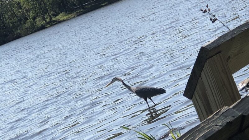 Colonial Lake Park - Lawrence Township, NJ