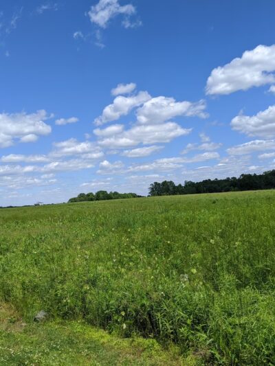 Lawrenceville, NJ 08648 - Lawrence Township, NJ