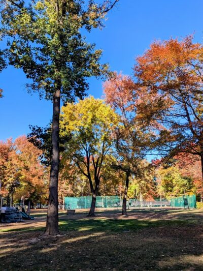 Veterans Park - Lawrence Township, NJ