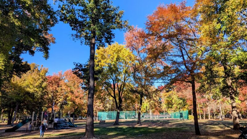 Veterans Park - Lawrence Township, NJ