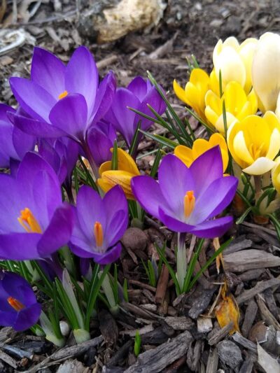 Veterans Park - Lawrence Township, NJ