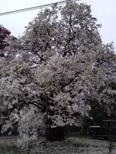Veterans Park - Lawrence Township, NJ