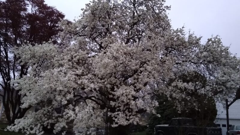 Veterans Park - Lawrence Township, NJ