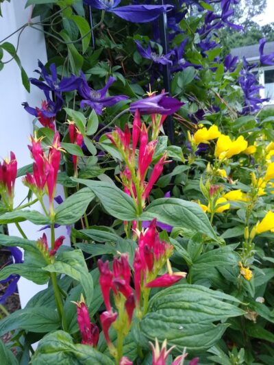 Veterans Park - Lawrence Township, NJ