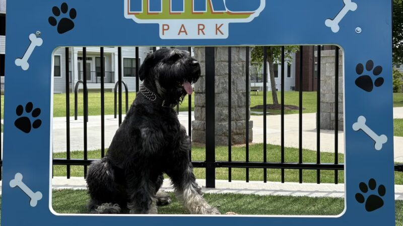 HYRO - Urban Dog Park - Lawrenceville, GA