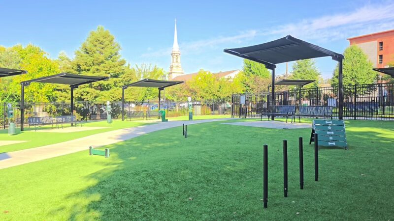 HYRO - Urban Dog Park - Lawrenceville, GA